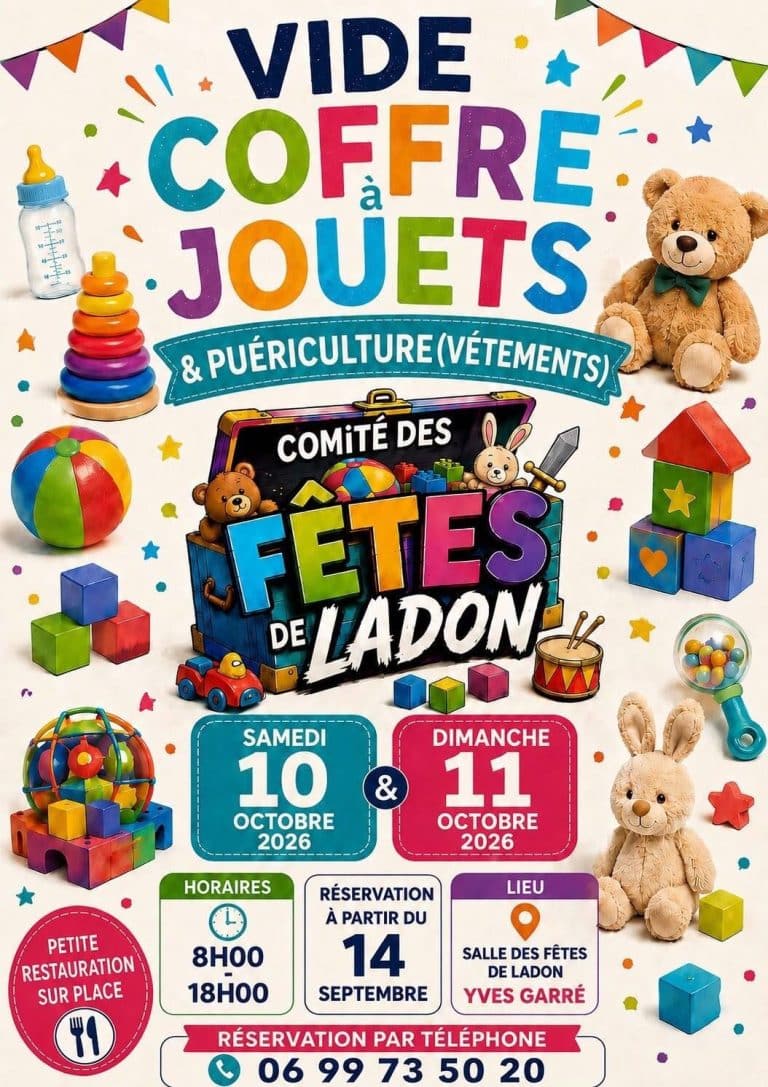 Vide-coffres à jouets
