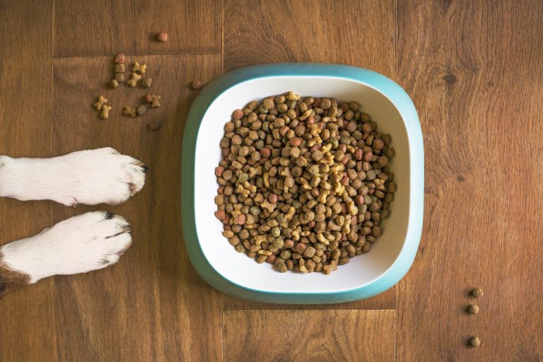 Croquettes à Dom – aliments pour chiens