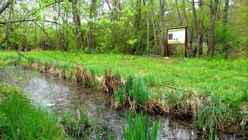 Pêche sur le parcours de l&rsquo;ancien canal de Bricquemault