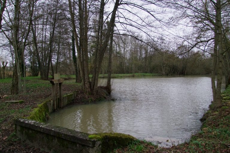 Aire de pique-nique de l&rsquo;étang de Jobert