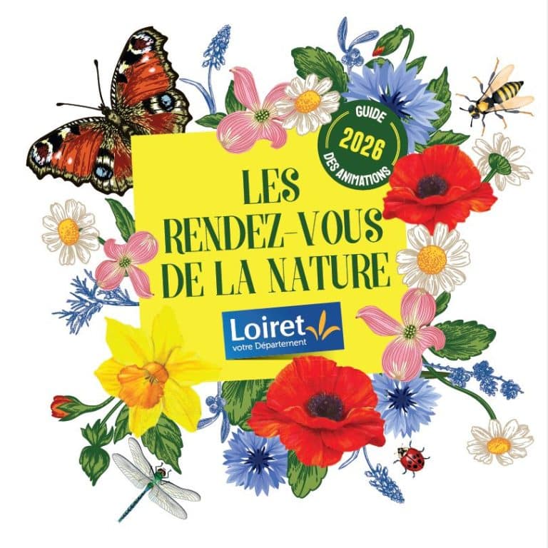 A travers l&rsquo;objectif