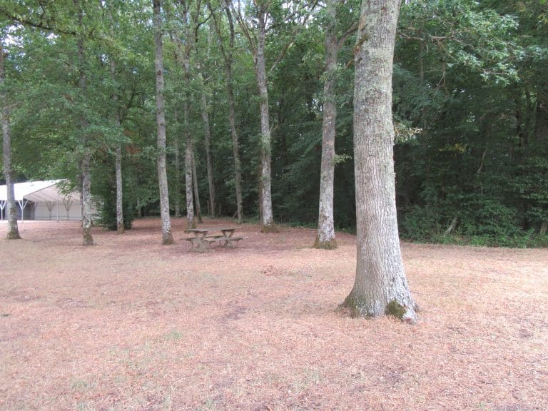Aire de pique-nique de Montereau