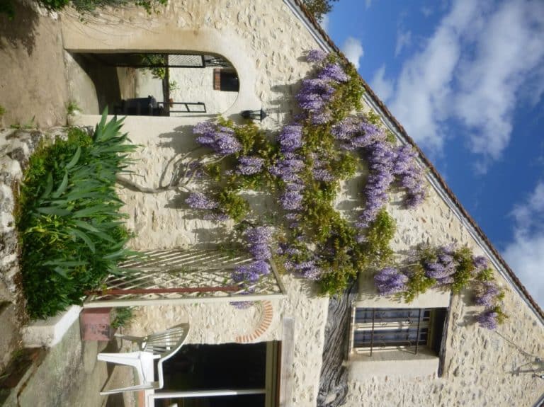 Le petit moulin