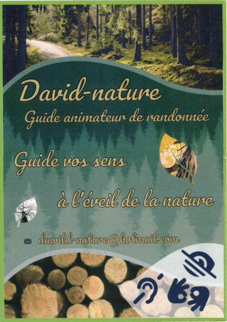David-nature