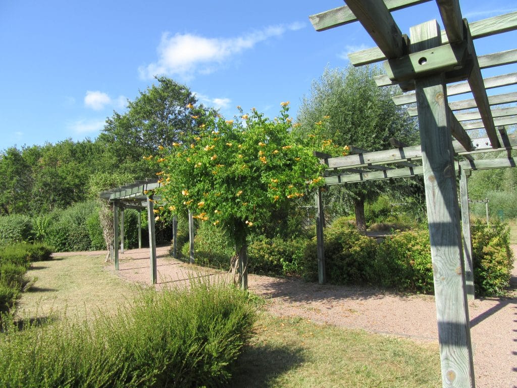 Jardin des arbres