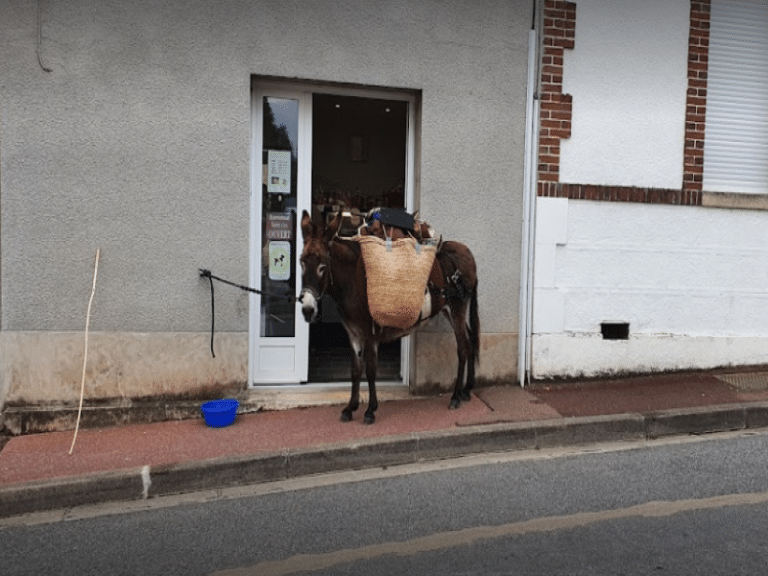 Le dépot de pain