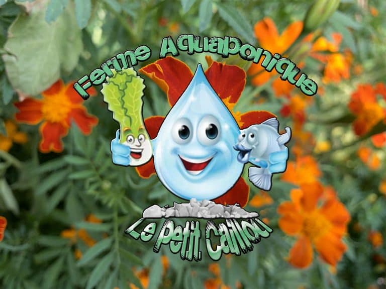 Ferme Aquaponique « le Petit Caillou »